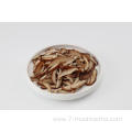 Frozen Sliced Shiitake Mushroom-100G